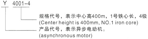 西安泰富西玛Y系列(H355-1000)高压武陵源三相异步电机型号说明